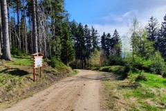 Jizerské hory - Harcovský les-rozcestí u lesní školky
