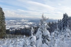 Ještědský hřeben - cesta na pláně, pohled na Jablonec
